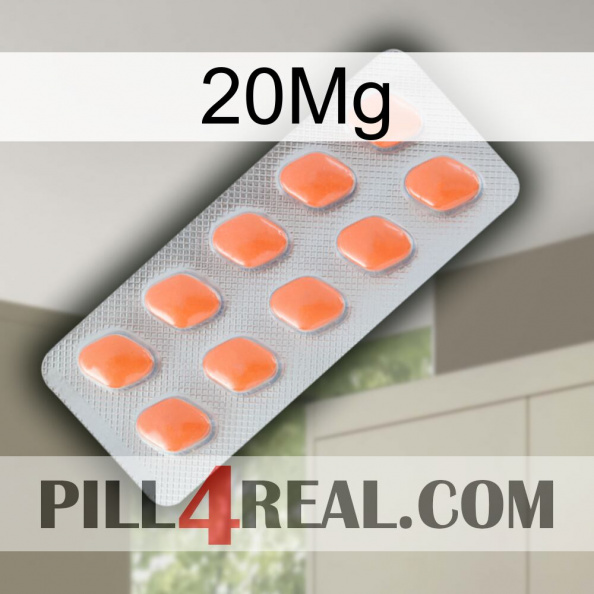 20Mg 26.jpg